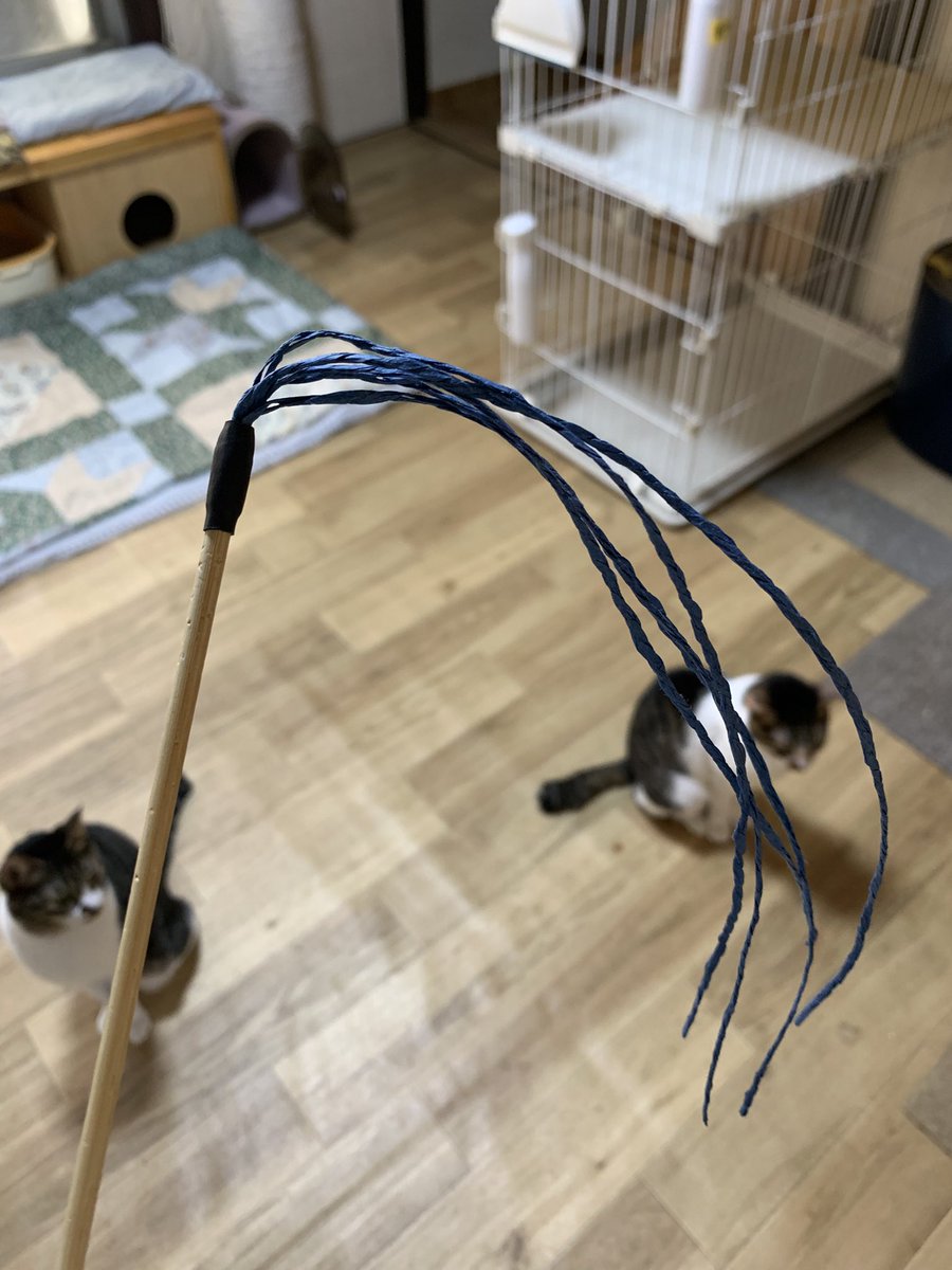 suichanchi's tweet photo. 新しい「きっと誰にでも作れる猫じゃらし」を試作中😾

ワークショップでも簡単に作れます‼️
きっと😼 https://t.co/IhcFG0zYjW