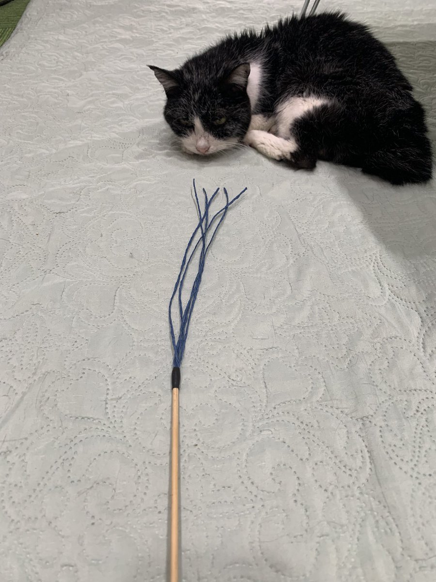 suichanchi's tweet photo. 新しい「きっと誰にでも作れる猫じゃらし」を試作中😾

ワークショップでも簡単に作れます‼️
きっと😼 https://t.co/IhcFG0zYjW