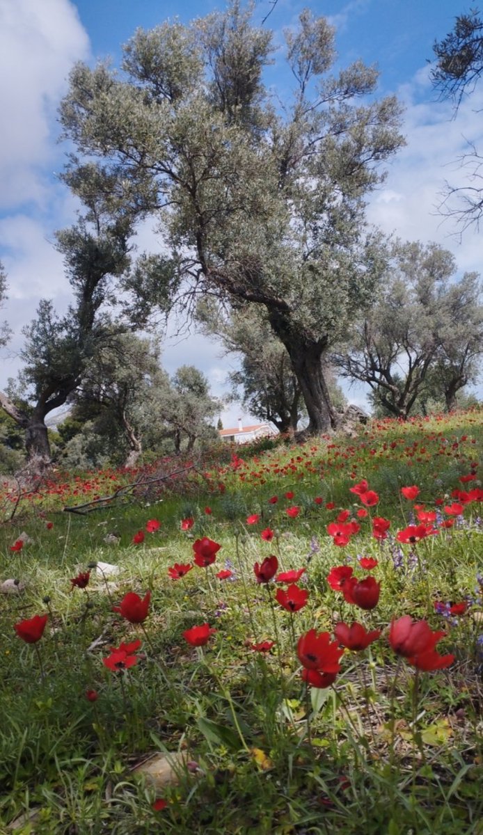 Andreasyfantis's tweet photo. Καλό μήνα. https://t.co/loHntM6zoC