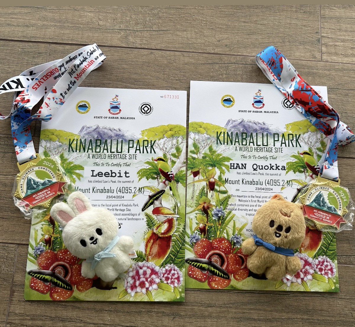 safe to say (??) mine were the FIRST EVER leebit &amp; han quokka reached kota kinabalu summit