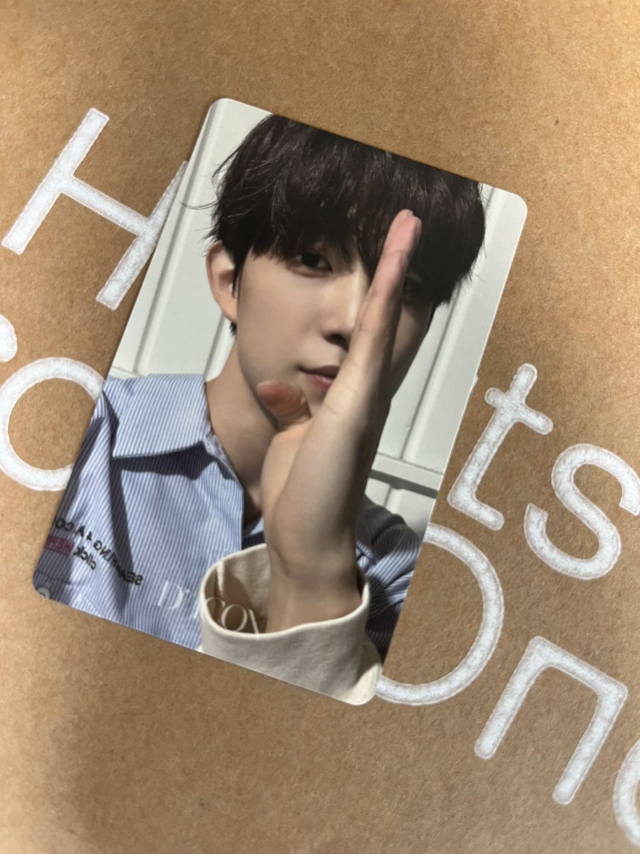 버찌 tweet media