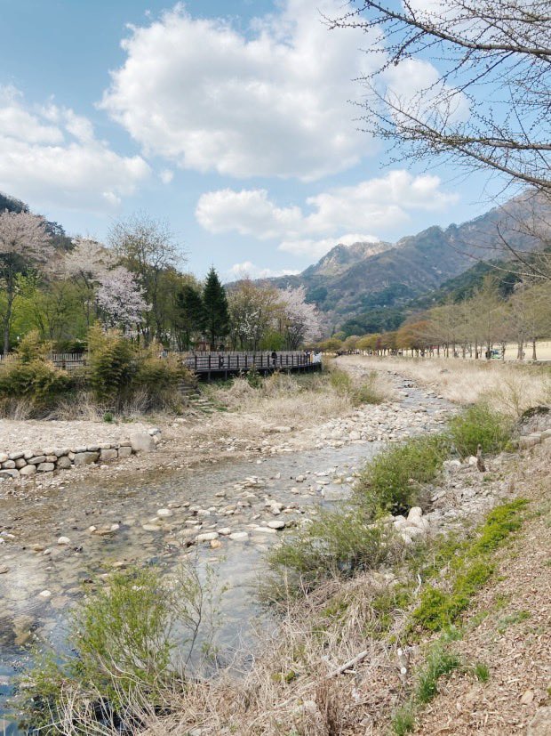 Korea Lens tweet media