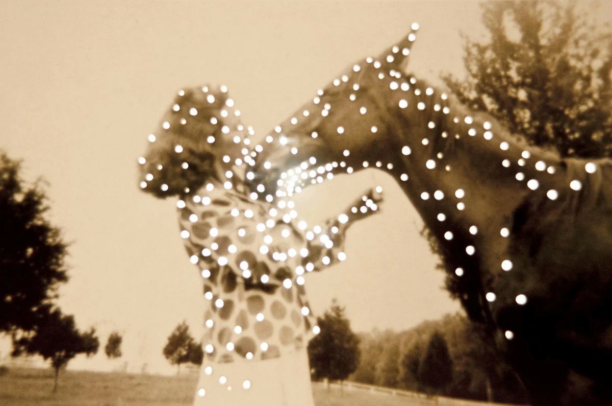 Pickaxe84199830's tweet image. #photographer #VisualArt  #horses 
Amy Friend, b. 1953 - Ontario, Canada
"Afterglow" Series Dare Alla Luce