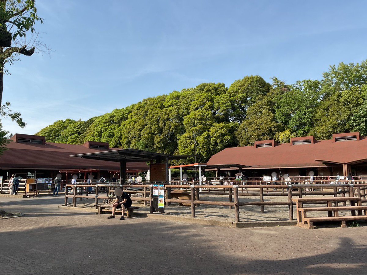 市川市動植物園（公式） tweet media