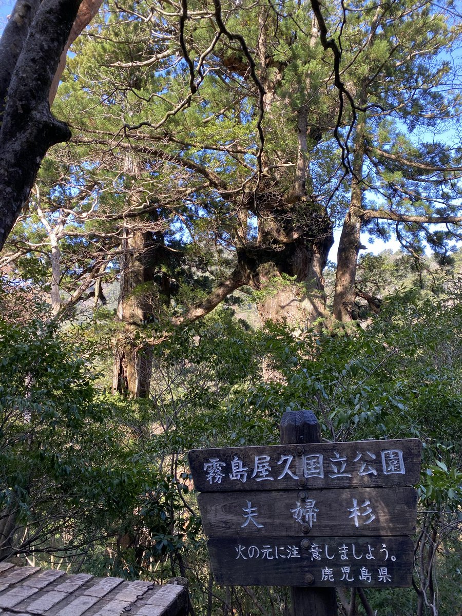 Sleep Deeply＠日本一周中 tweet media