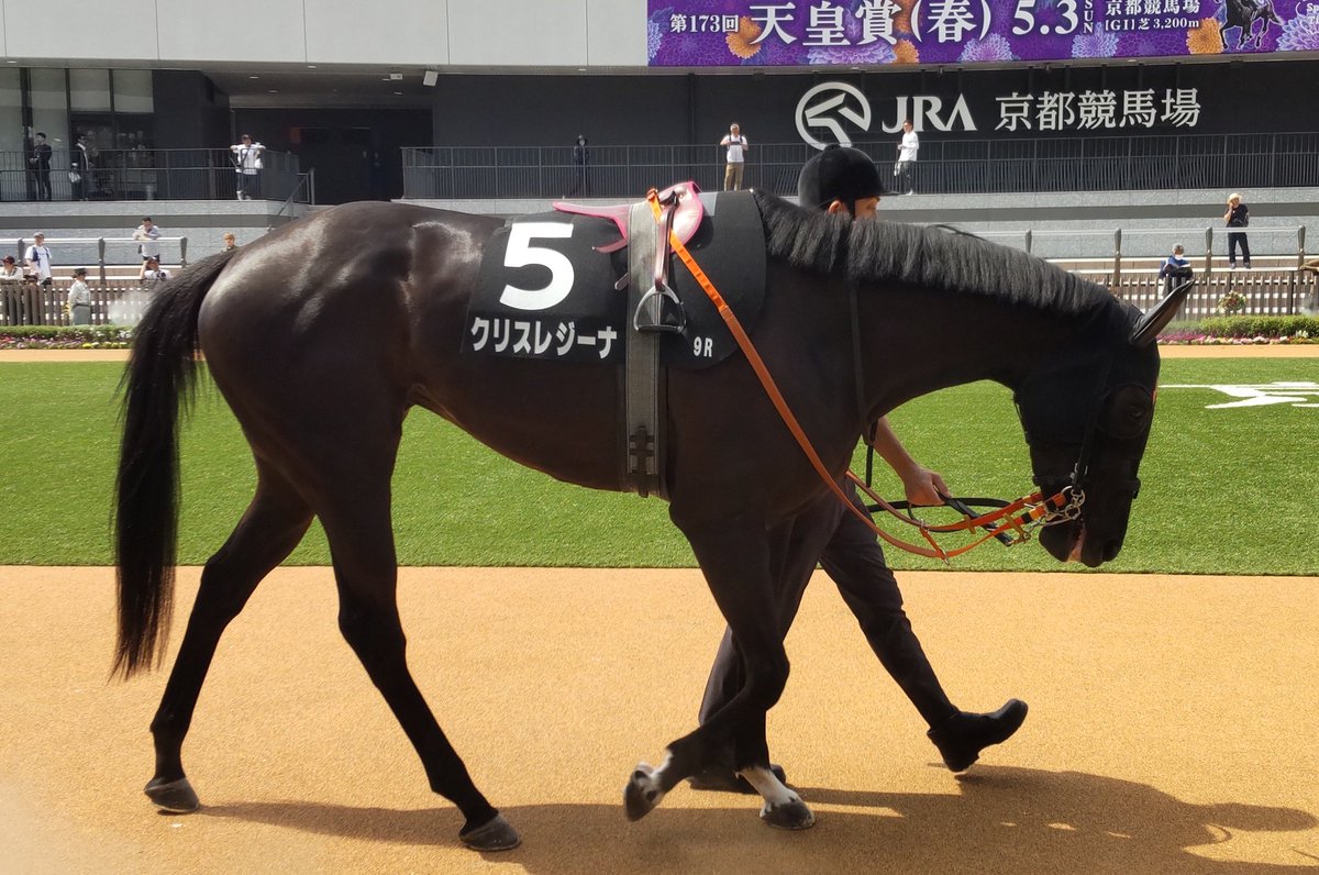 いなさん tweet media