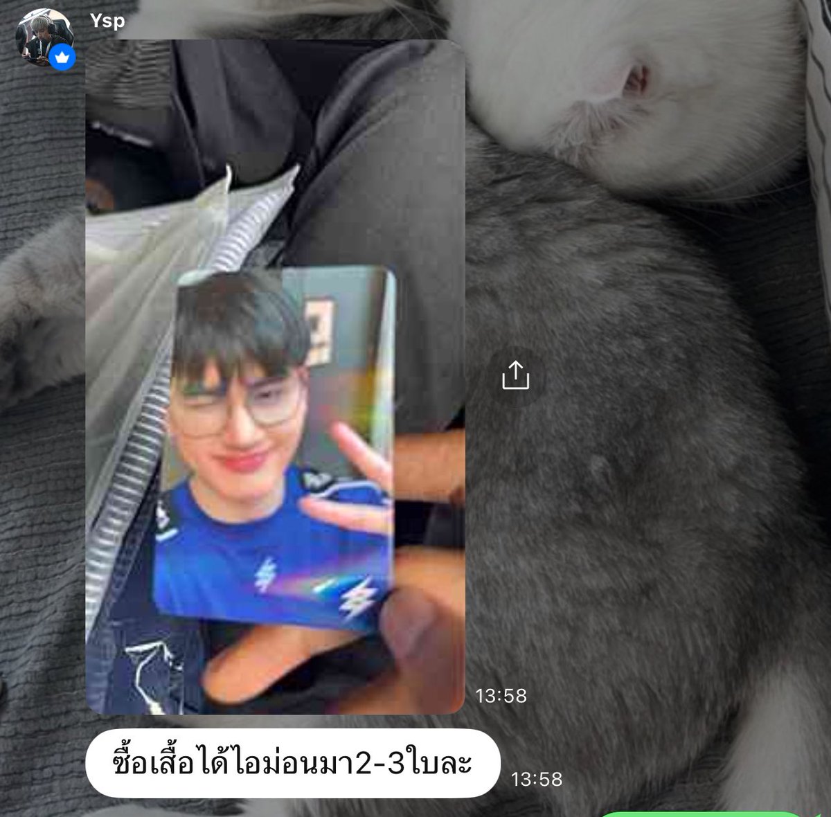 มัมหมีลูกม่อน 🐶 tweet media