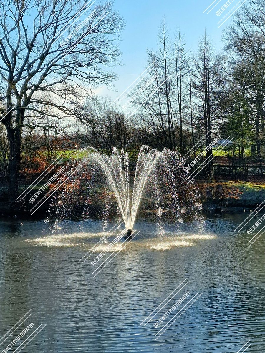 EJewettPhotogr1's tweet image. A fountain rising from the lake in Astley Park, with sunlight catching the spray and turning it into a shimmering moment of light. A calm, bright scene in Chorley.

#AstleyPark #Chorley #Lancashire #Lake #Fountain #Sunlight #Nature