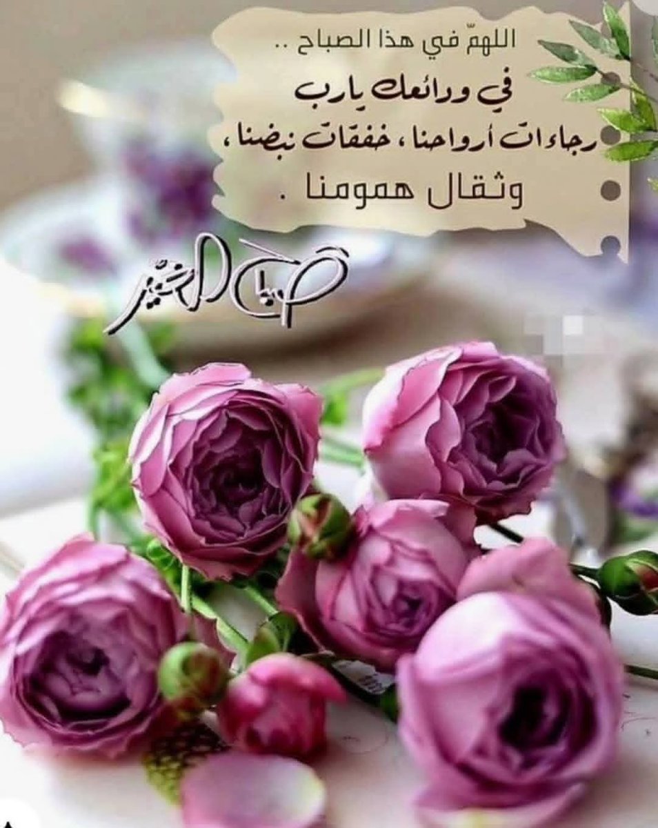 شذي الياسمين 💚🇸🇦 tweet media