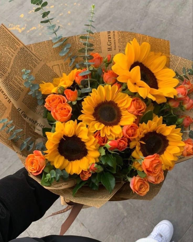 𝓣𝓱𝓮𝓑𝓵𝓸𝓼𝓼𝓸𝓶𝓢𝓽𝓾𝓭𝓲𝓸 (@phollukidukaan) on Twitter photo 