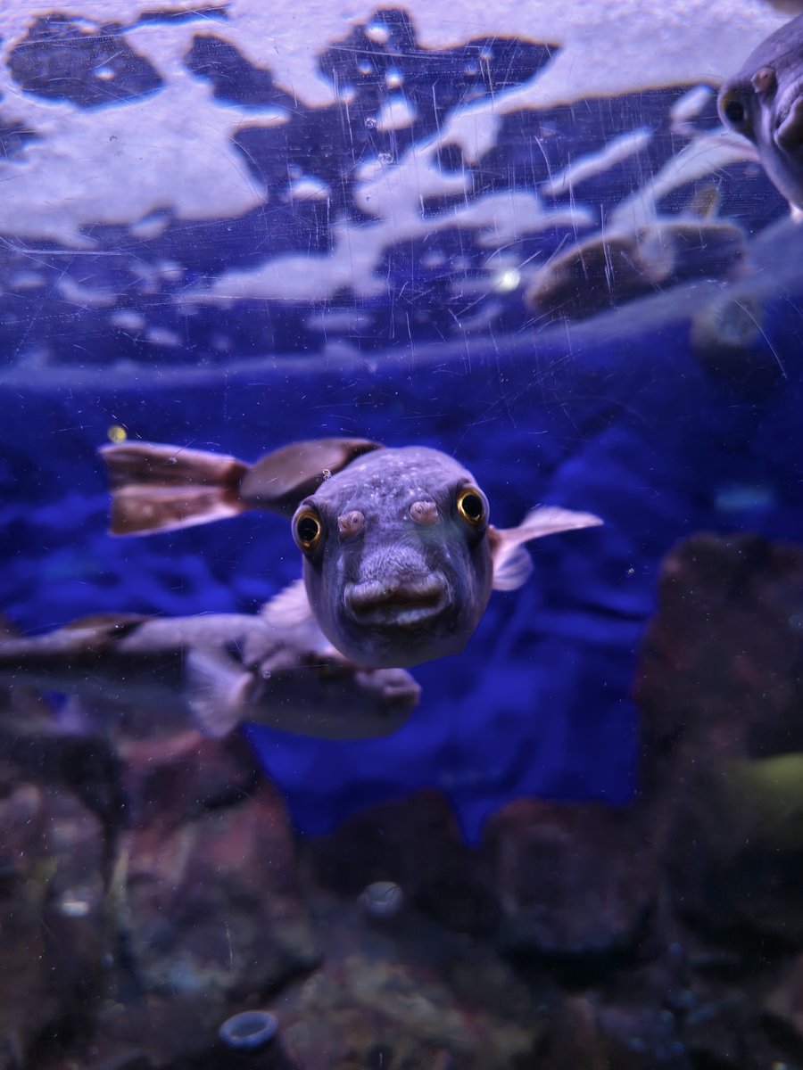 Andy tweet media
