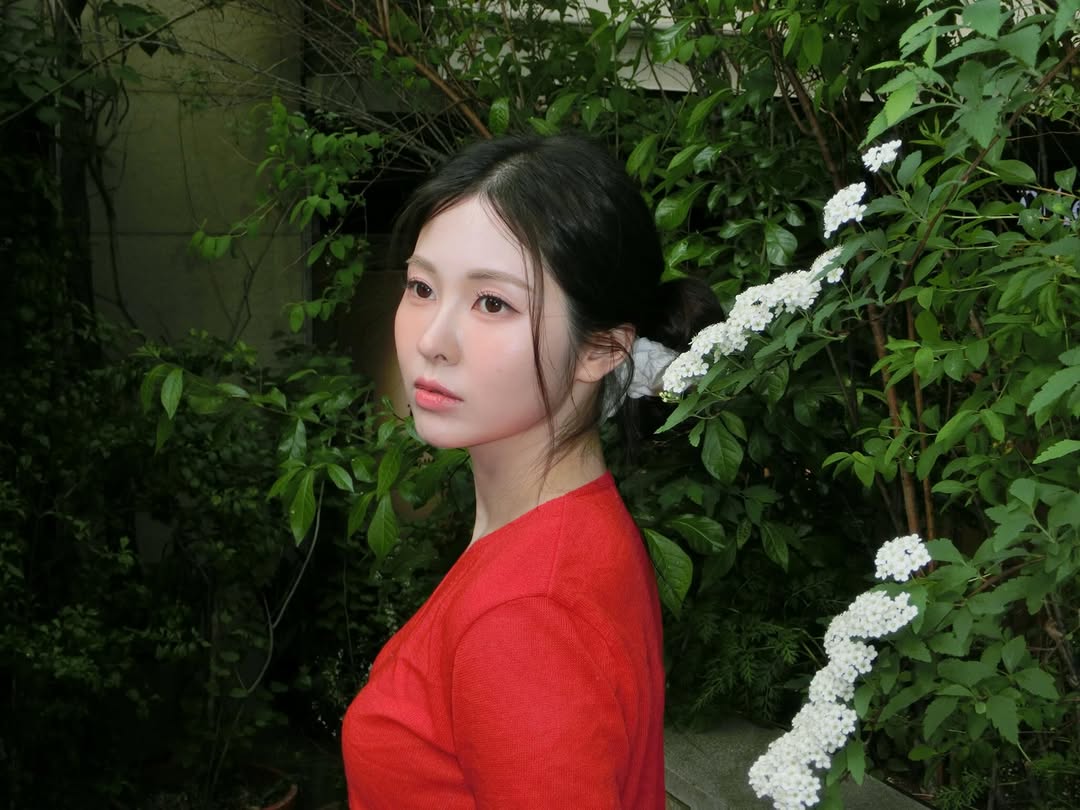백설 tweet media