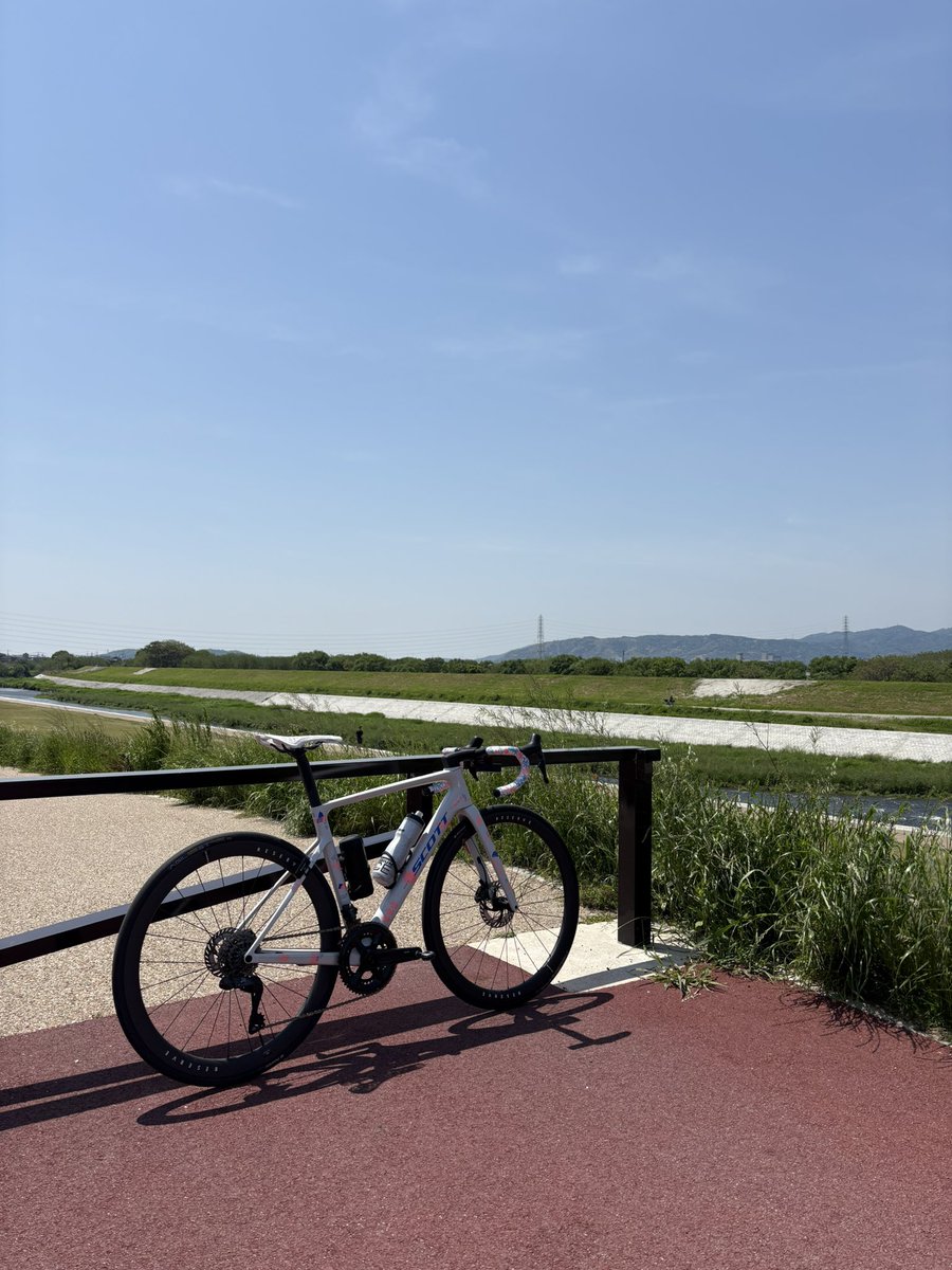 k_o_7193's tweet photo. 天気良くて最高🚴♂️
フィットデータに合わせる為レンタルサドル。
データにバッチリハマった👌
座った感じも良き🙆♂️
これにするか🤣
#ロードバイク
#prologo
#NAGO https://t.co/K7FhDAOYlq