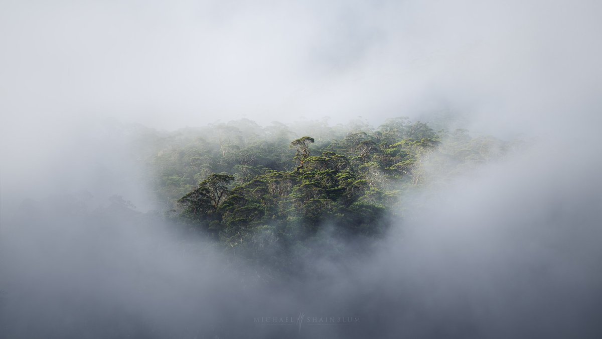 NatureRoot88's tweet photo. New Zealand adventure https://t.co/eBQ2bawKuJ