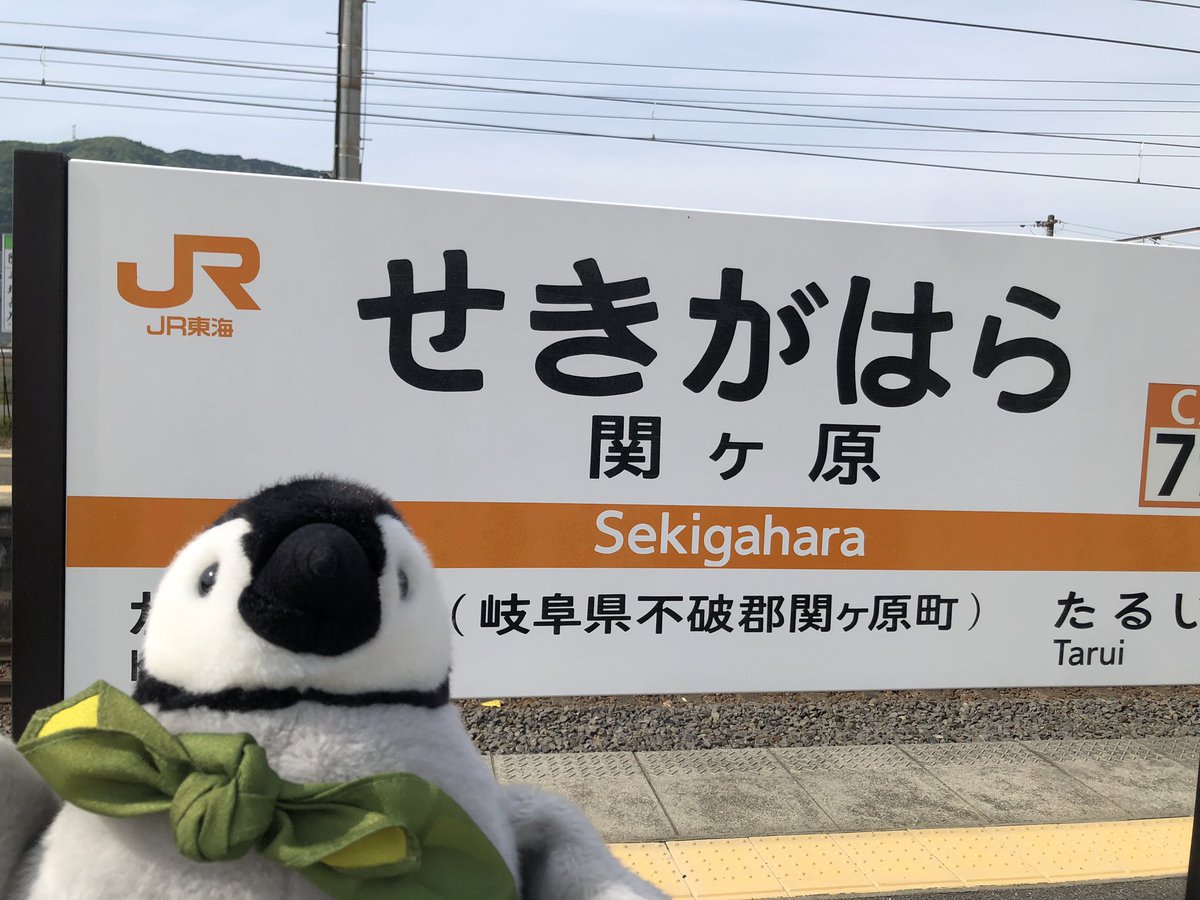 内岛氏理🐧 tweet media