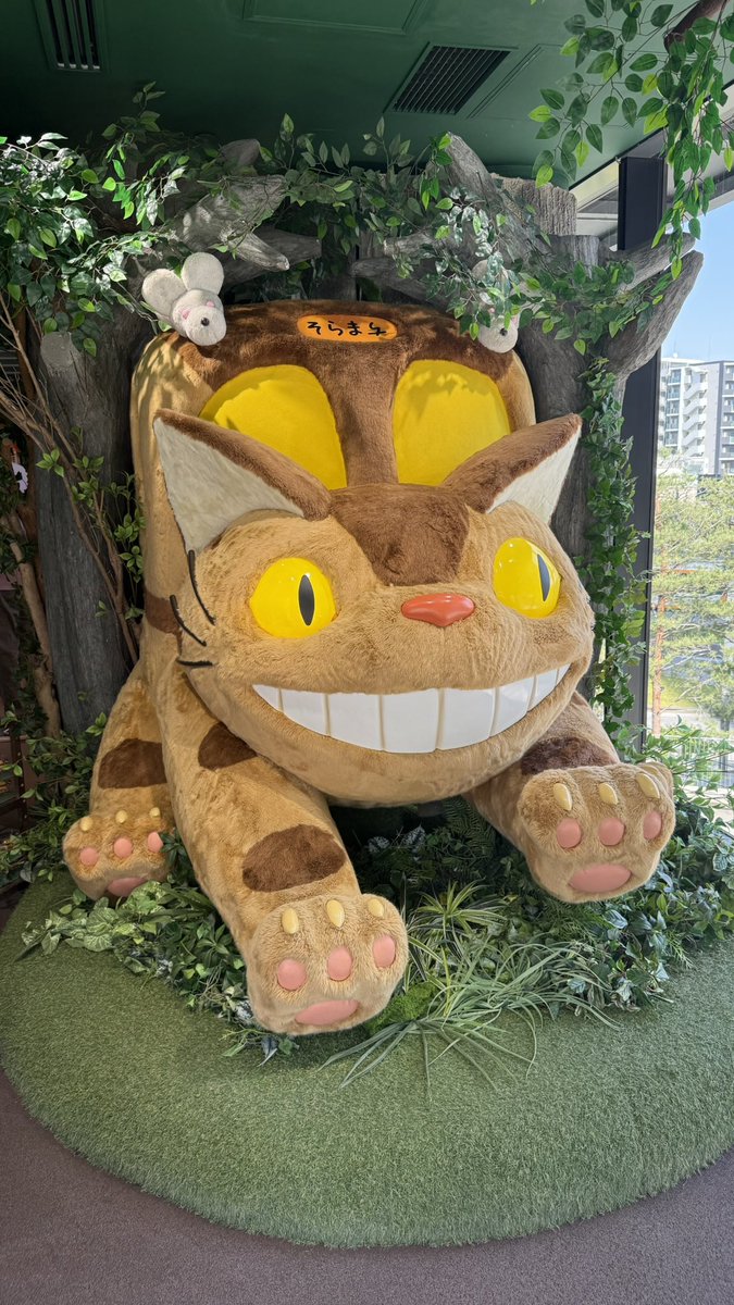 もりさん tweet media