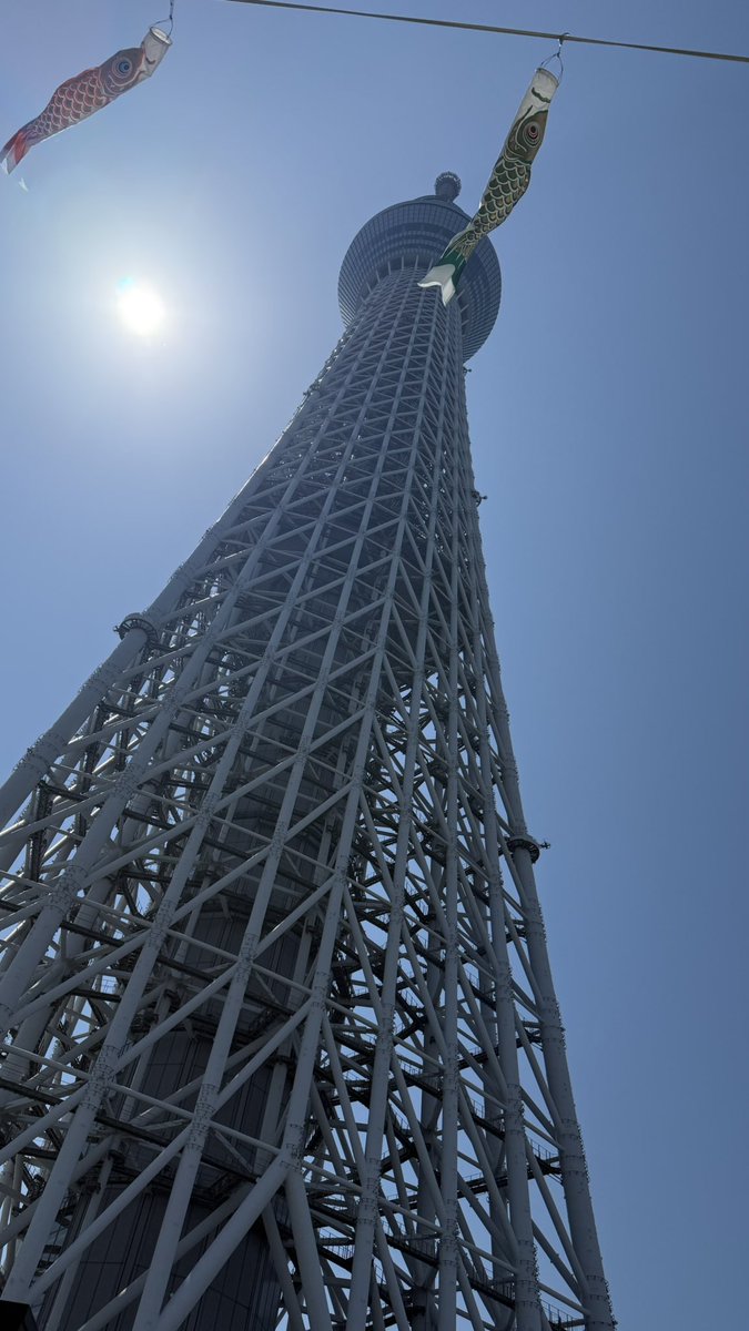 もりさん tweet media