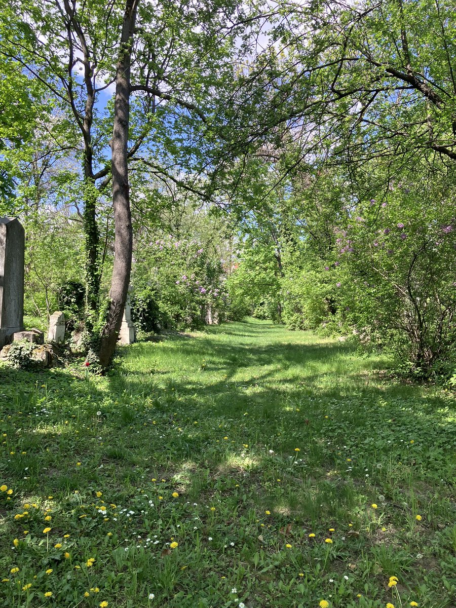kaffee_jause's tweet image. 気候もよかったこともあり、とてもいい

2026.4.22
#austria #Wien #ウィーン #ザンクトマルクス墓地