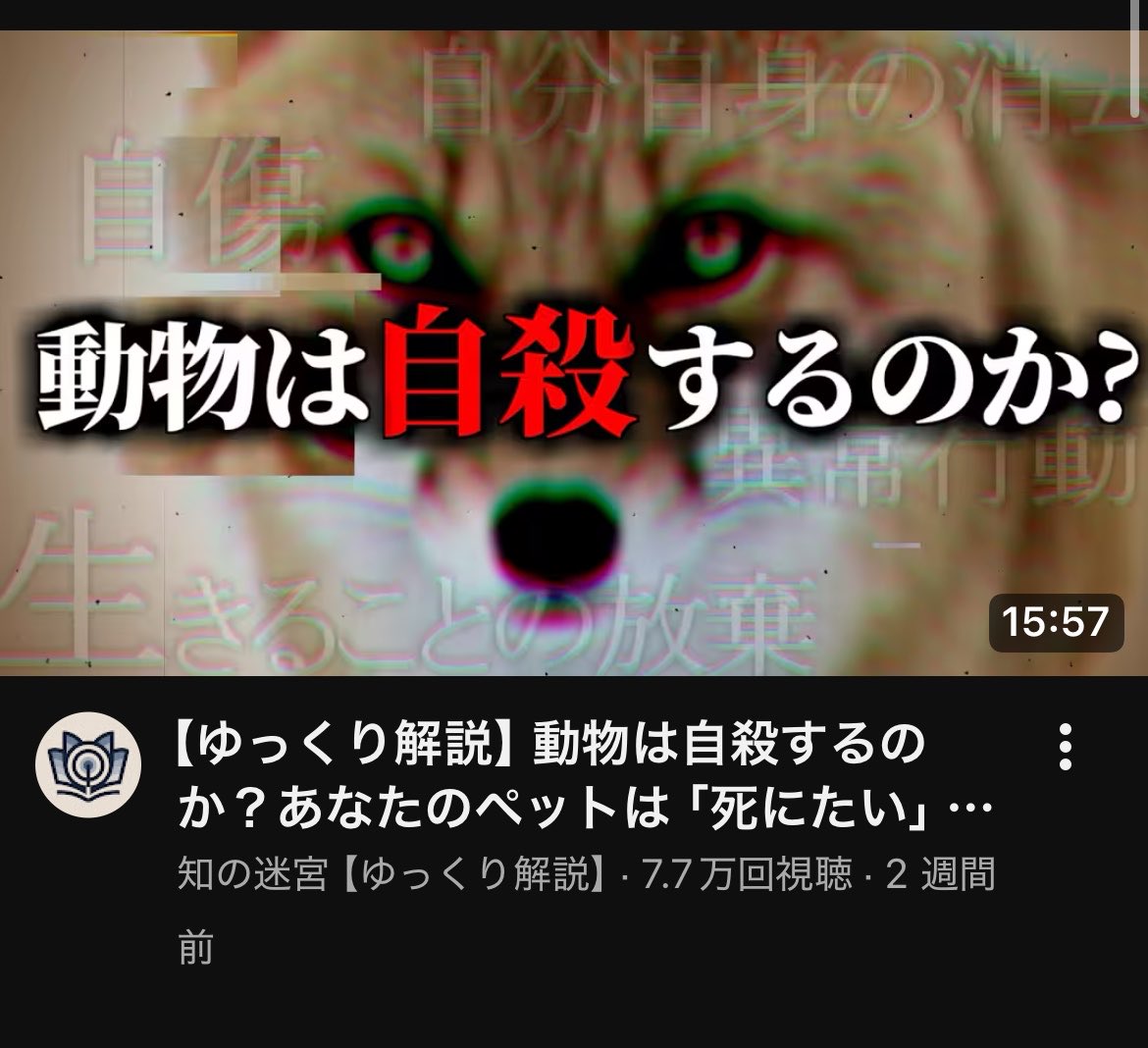 りえる tweet media