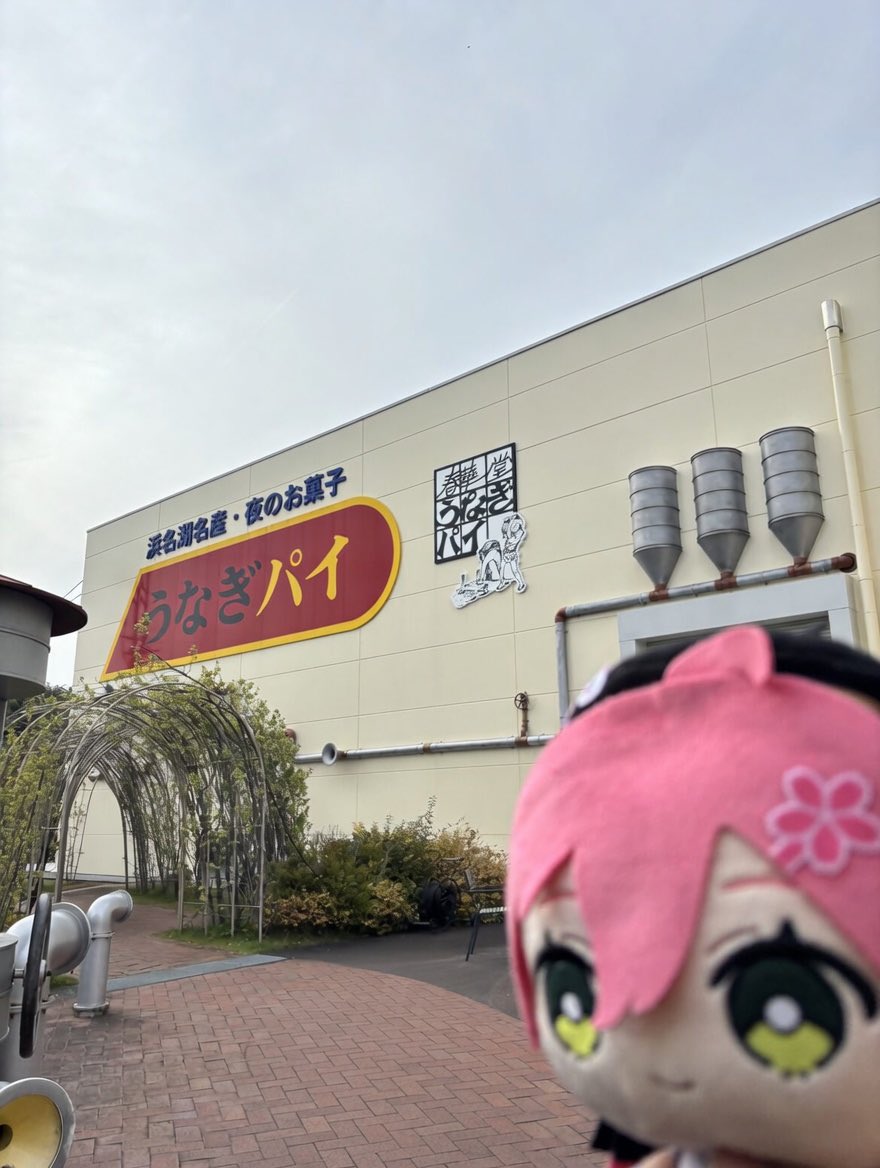 紅白もち🌸 tweet media
