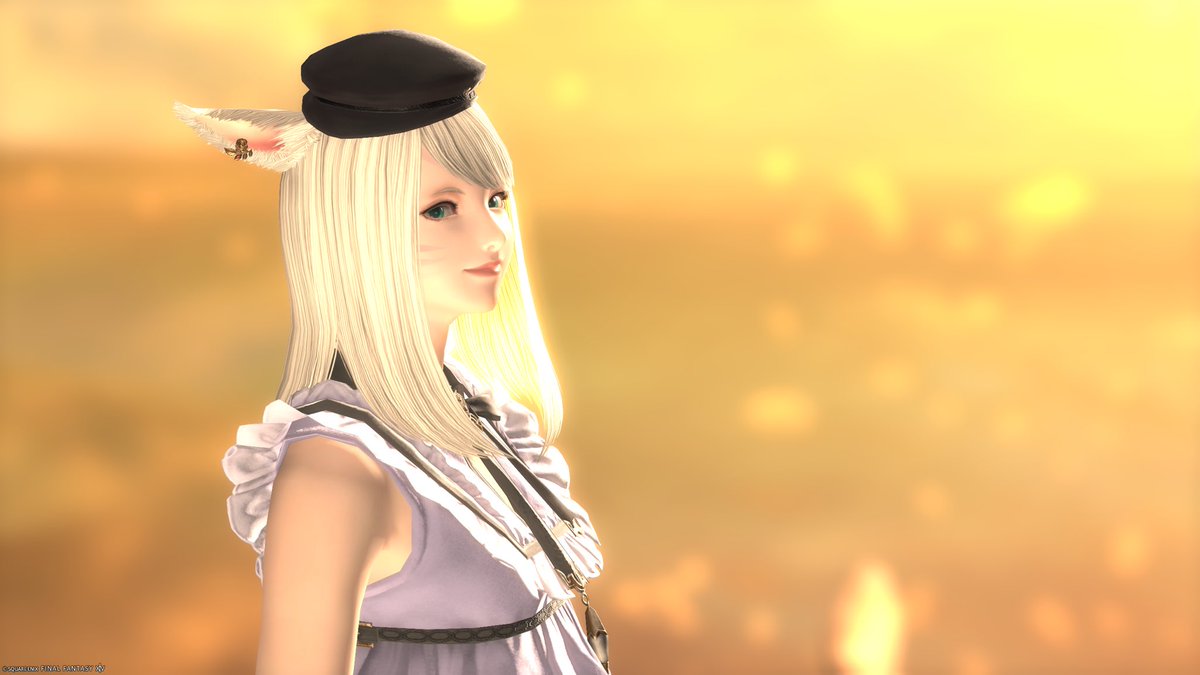 ヒベルティア tweet media