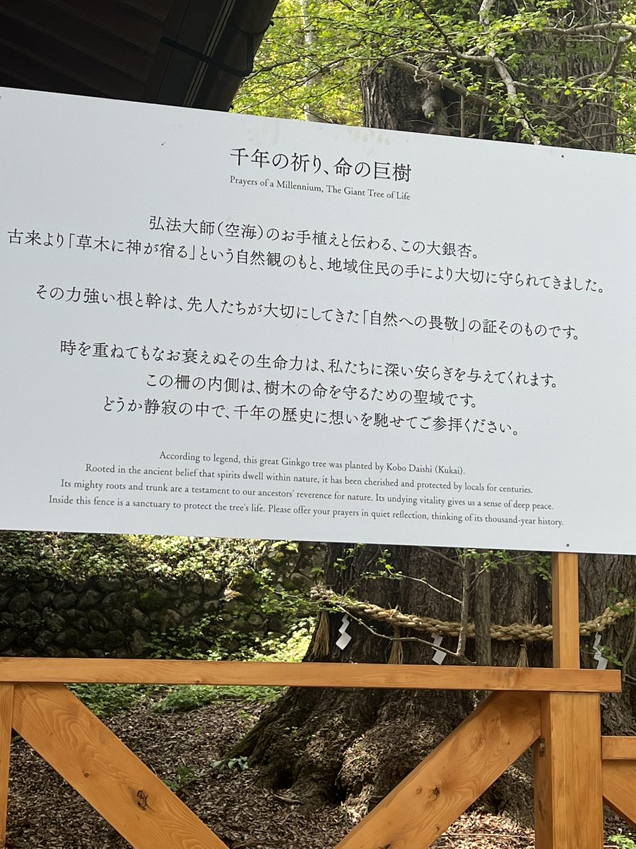 行って来ました