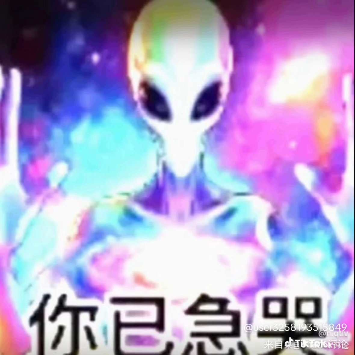 zzh坦闪小西吧 tweet media