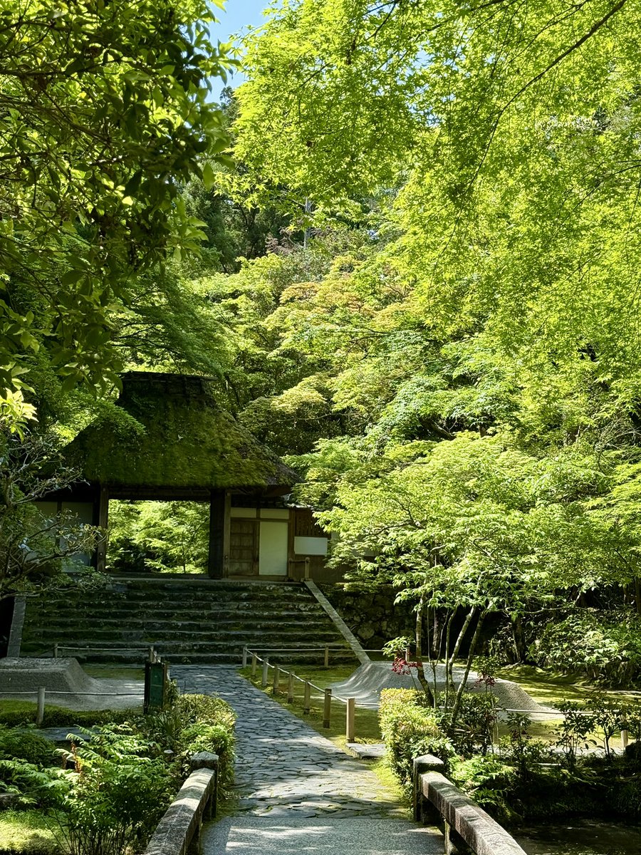 京都の美しい新緑をご覧くださいな🌱

法然院は東山の山間に佇む小さなお寺。
ゴールデンウィークでもひっそり。
緑を全身に浴びてリフレッシュ。