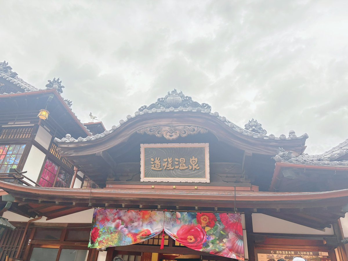 すいおん tweet media