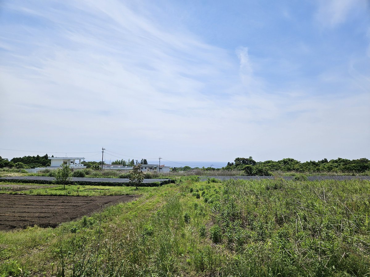 もつ鍋a.k.aギャル鍋 tweet media