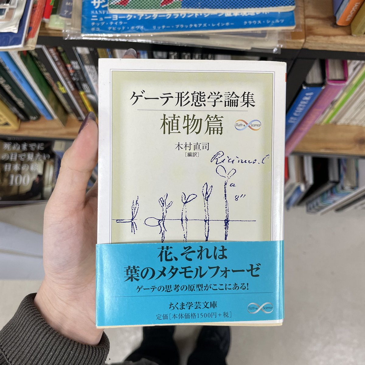 ゲーテ形態学論集 植物篇・動物編2冊セット Amazon.co.jp: ゲーテ形態学論集・植物篇 ゲーテ自然科学論集 (ちくま