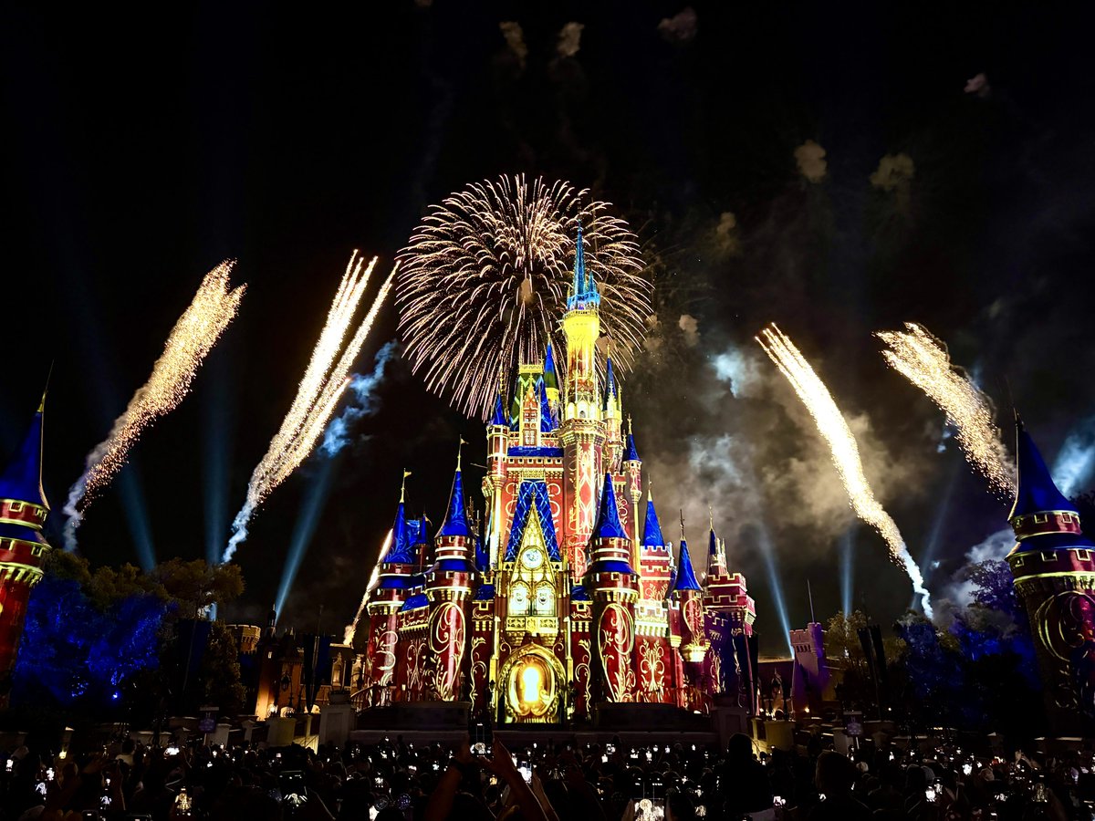 マジックキングダムの花火ショー 「Happily Ever After」 僕がショーの