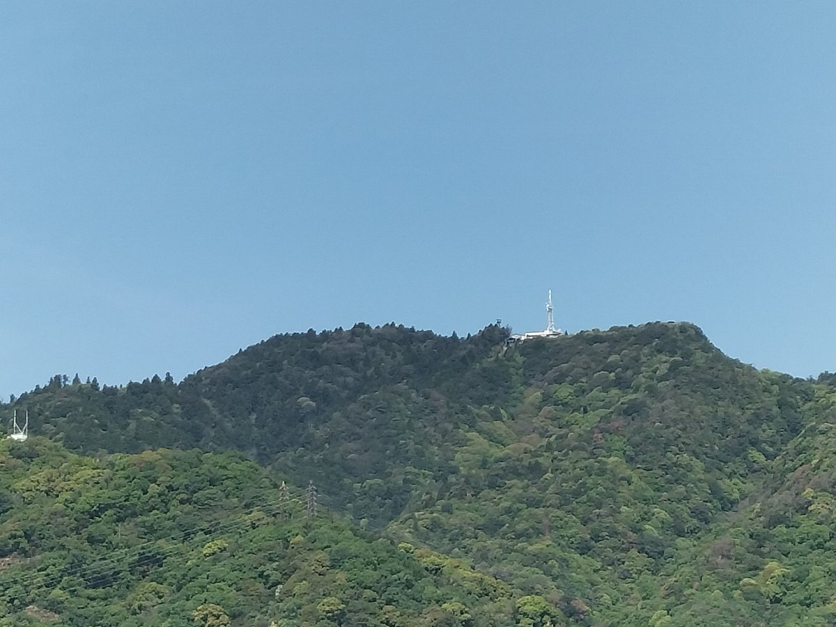 hiyamada0331's tweet photo. 10回目の #摩耶山🏕いー天気です😊気持ち🩷イーですね。今日の先発は大竹選手。 #サトテル 調子イーですね。 #タイガース 応援します🙇ネタが無いので花特集。
#掬星台 #旧摩耶観光ホテル #摩耶花壇 #錦鯉 https://t.co/Guq1aPmGh2