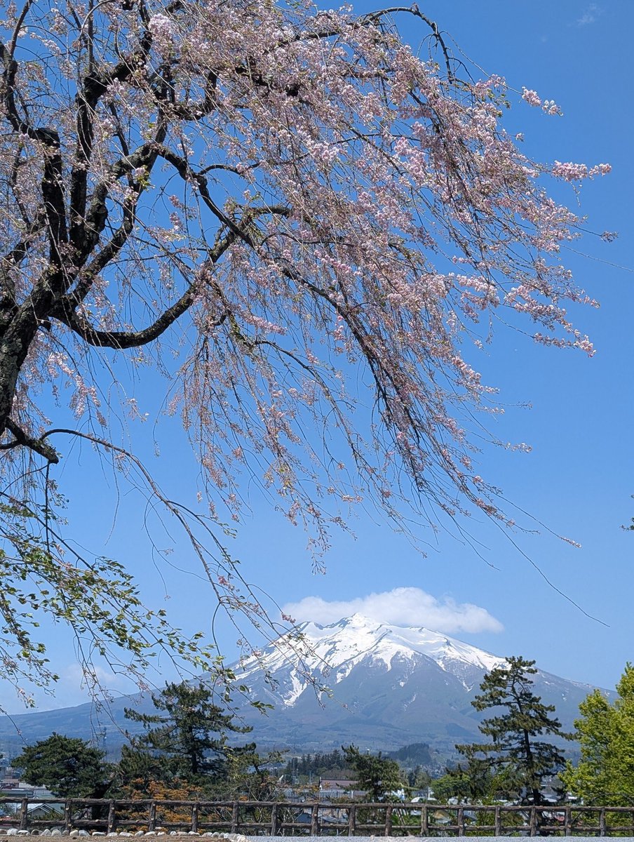 GURE（温泉星改め） tweet media
