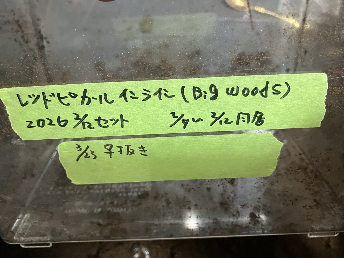 こう tweet media