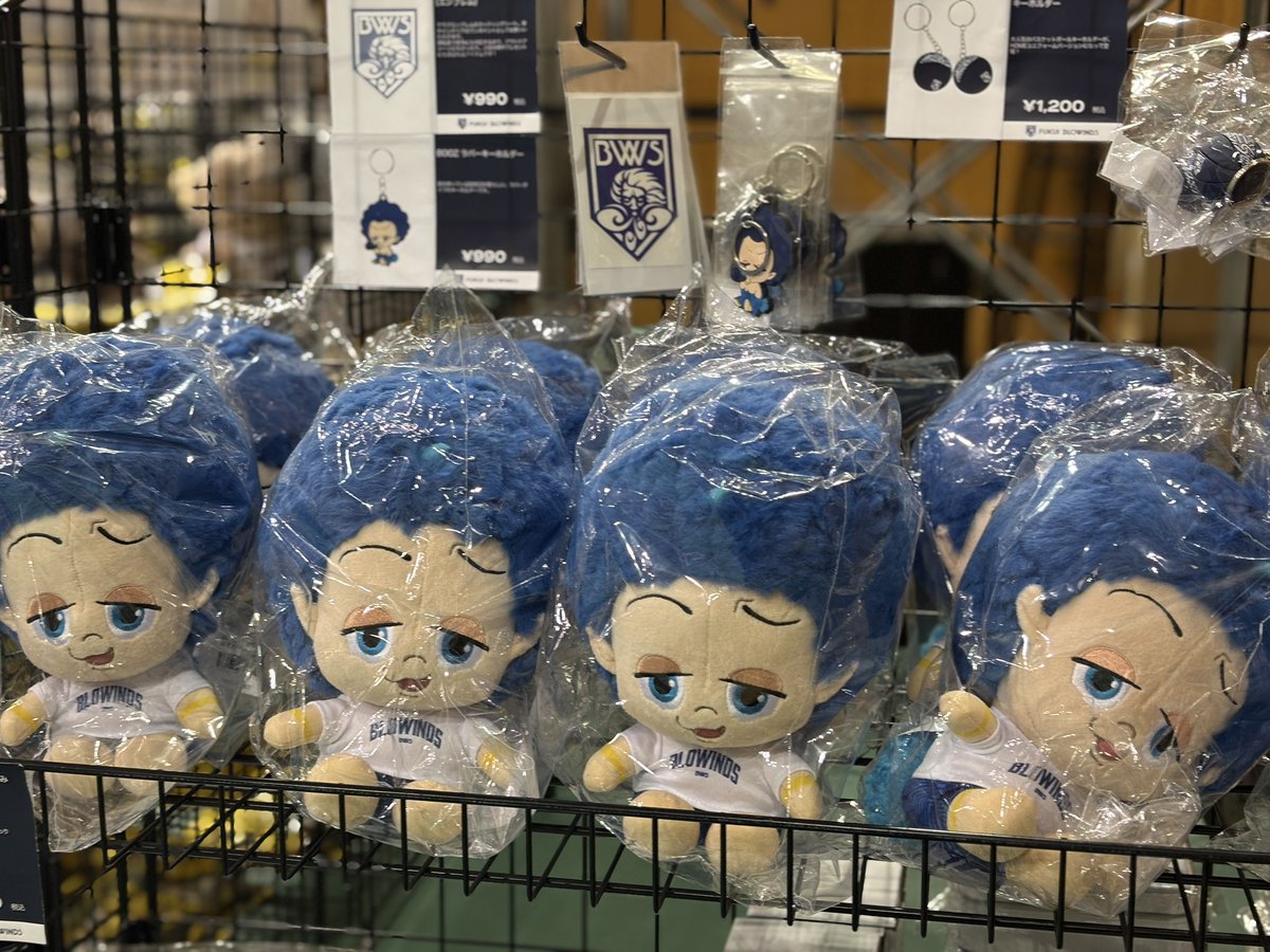 shinshubw's tweet photo. ／
🗣️会場情報📣
＼

本日は、対戦相手である #福井ブローウィンズ よりグッズをお預かりしております👏

前回遊びに来てくれた #BOOZ くんのグッズも多数ご用意しています🌟
グッズ売場右手側にございます‼️

#信州ブレイブウォリアーズ https://t.co/LeHXr1uJ63