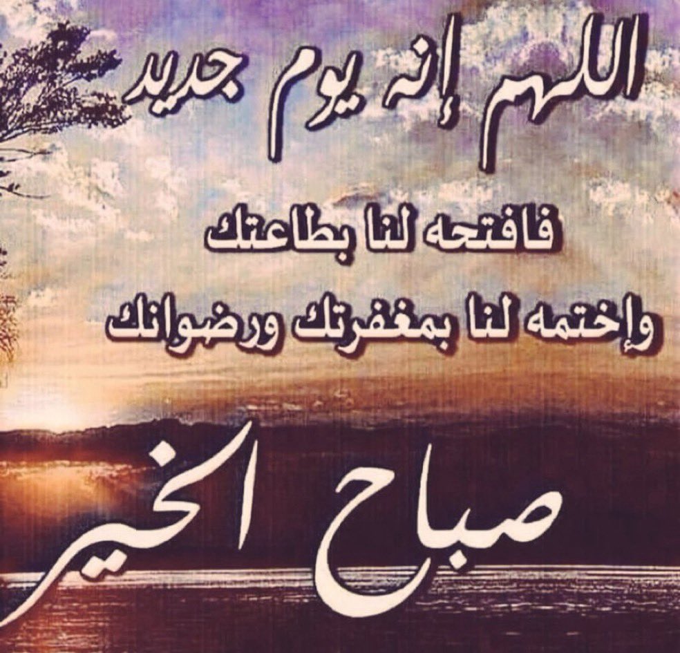 أبن الفيحاء(مدينتي) tweet media