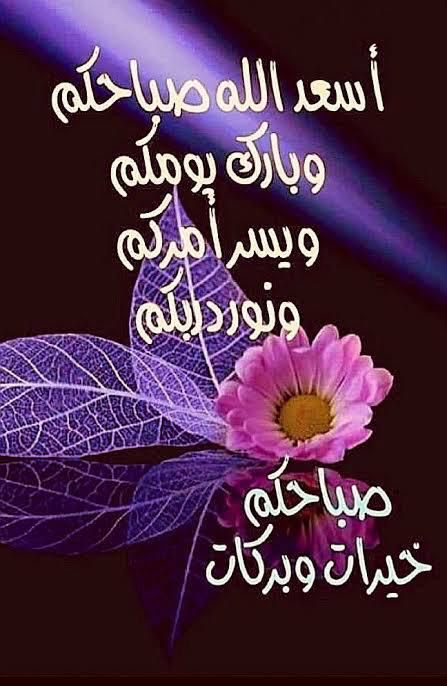 mm🪴🩵محمد tweet media