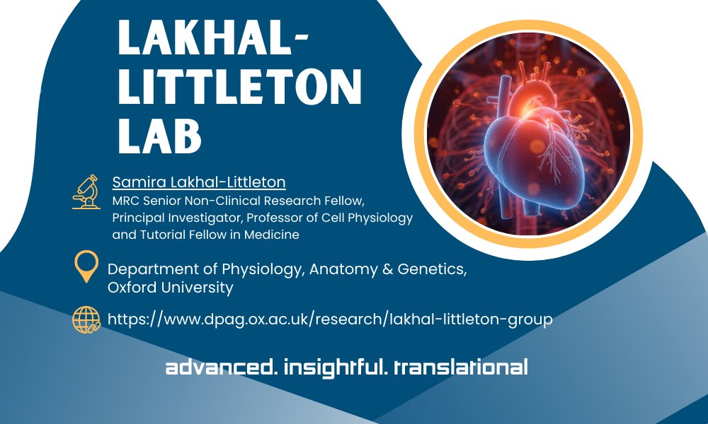 BioIronSocial tweet media
