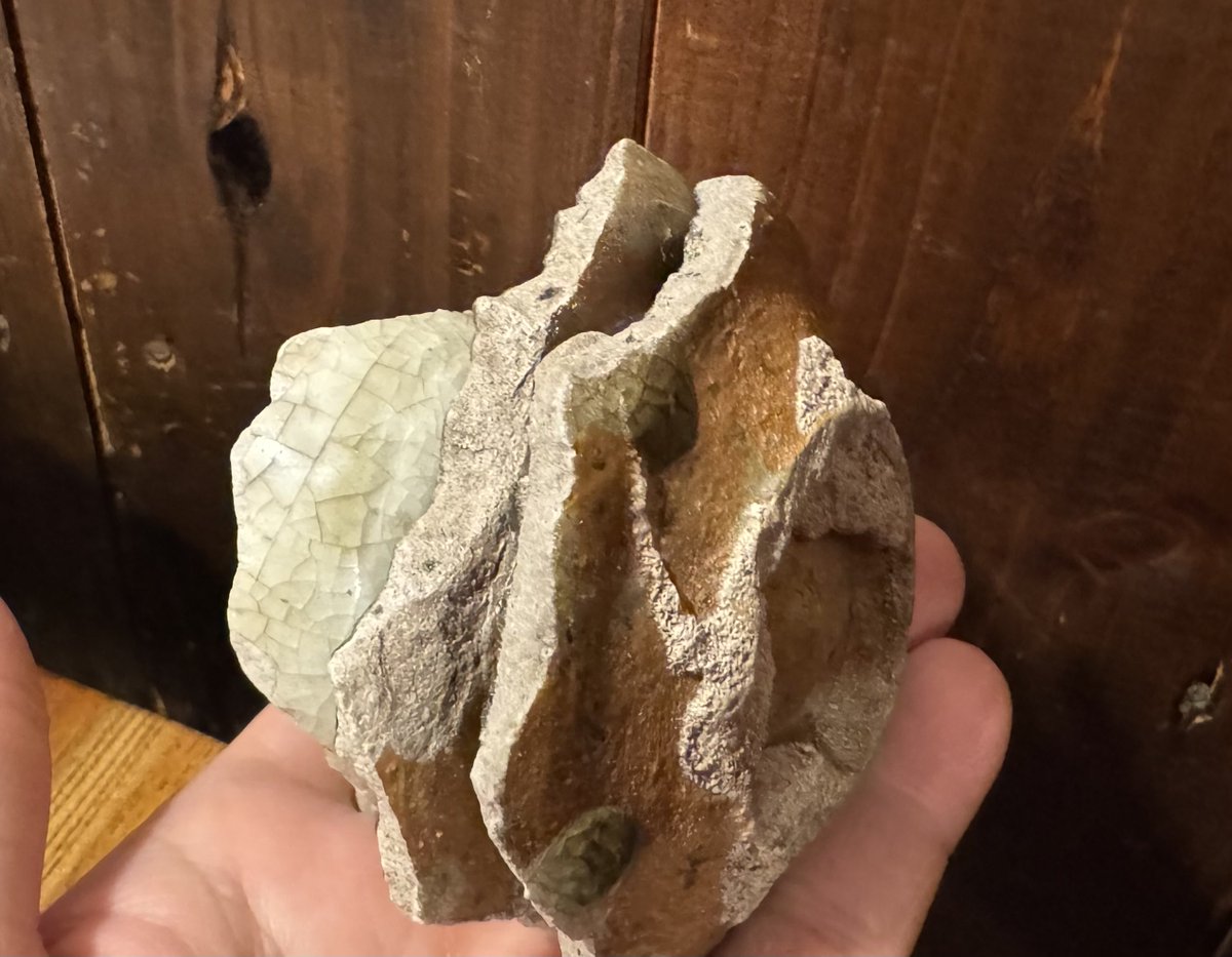 唐津で玄界灘の海の幸をつまみながら陶片触って焼物談義、楽しい〜♪
主に初期伊万里