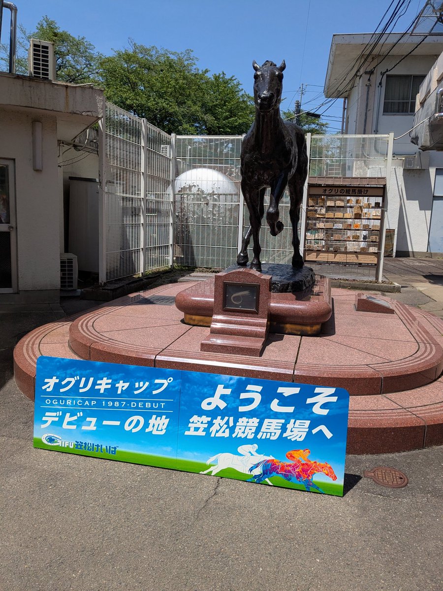 nanashigure24's tweet photo. カサマツ https://t.co/XkljU3ZPTb