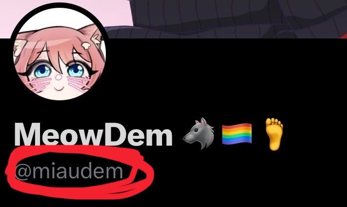 MeowDem 🐺🏳️‍🌈🦶 tweet media