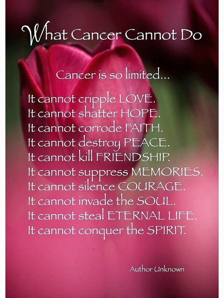 sistervpaul_'s tweet image. Special closing prayers tonight for anyone facing the challenges of cancer, their family and caregivers. Joined in prayers with #Faith and for #Peace 🙏🌎💟🙏 #PrayTheRosary 🙏🕊️