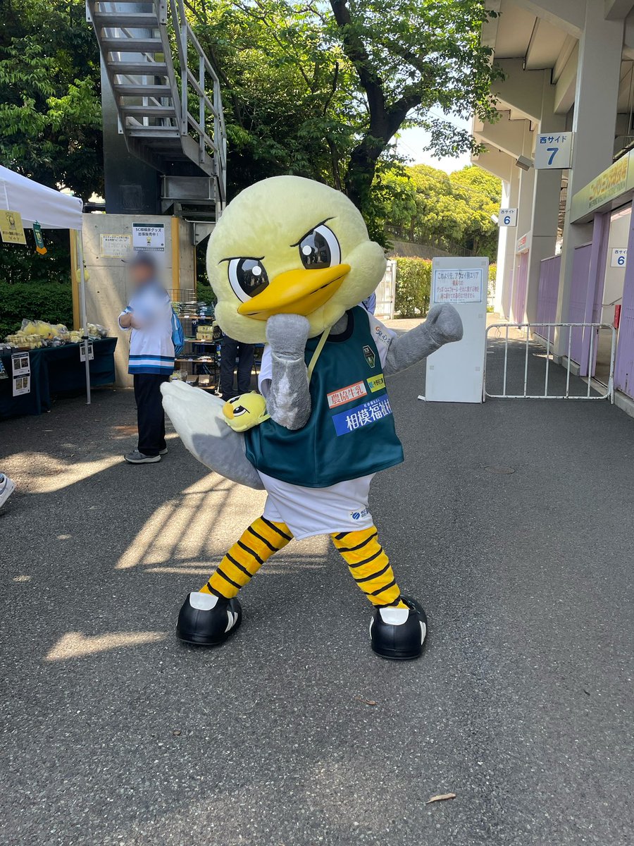 ぷれせぺ tweet media