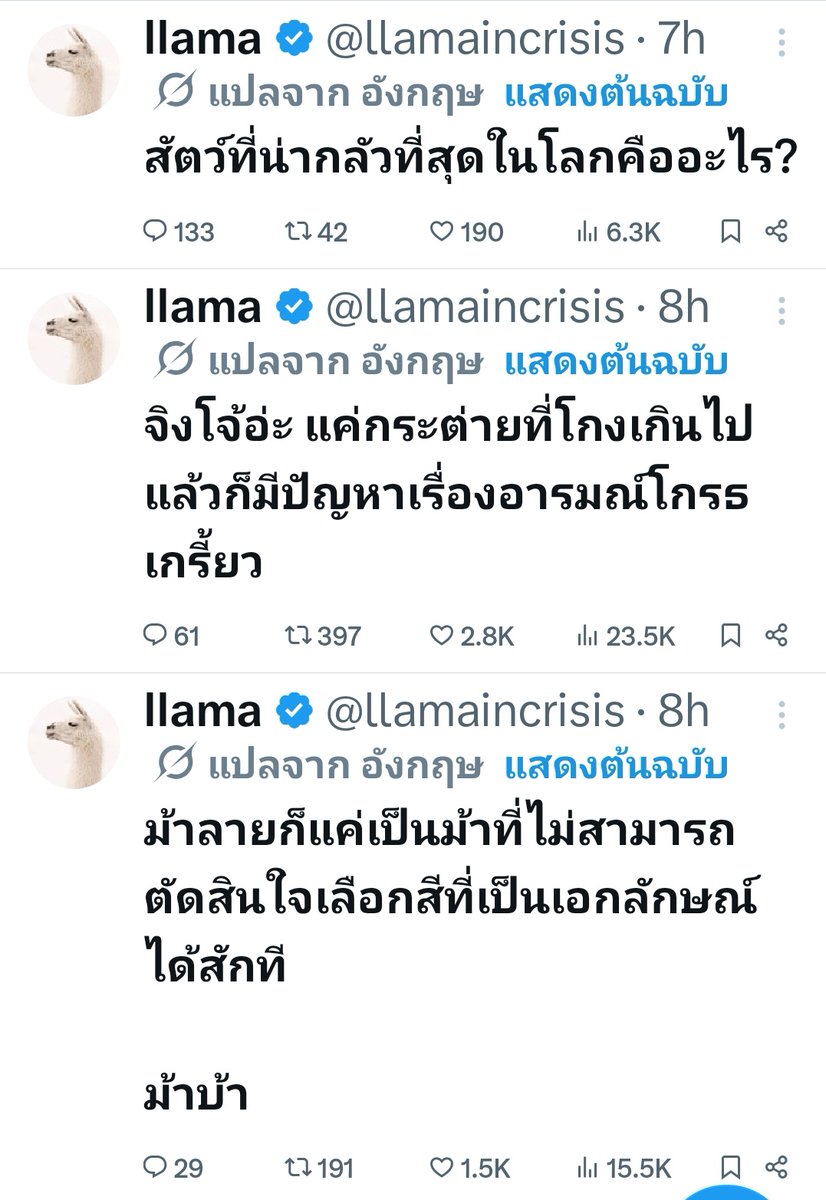 ชลน แมวส้มแท้ๆ 🐱 tweet media