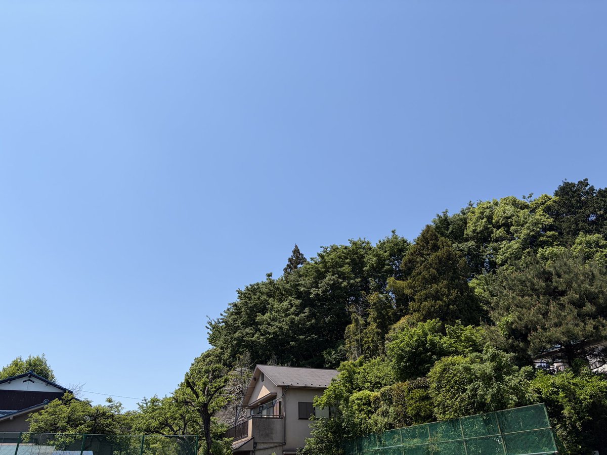 はねりん tweet media