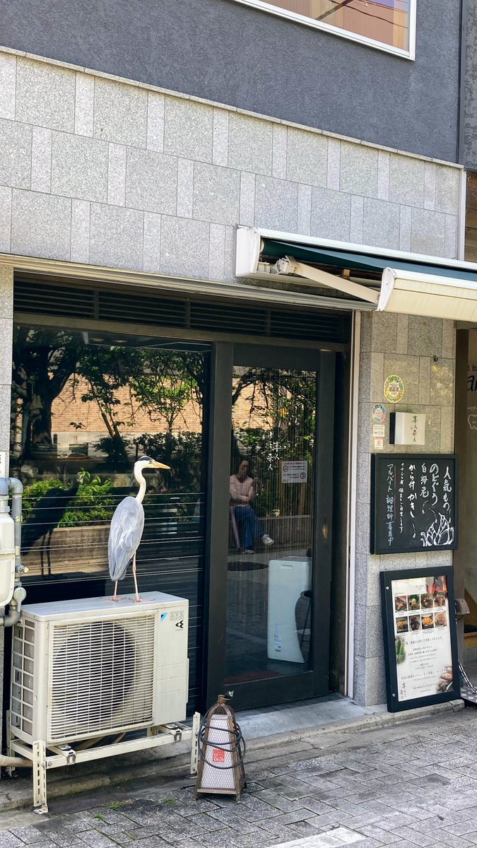 鴨川ゆりかもめ tweet media