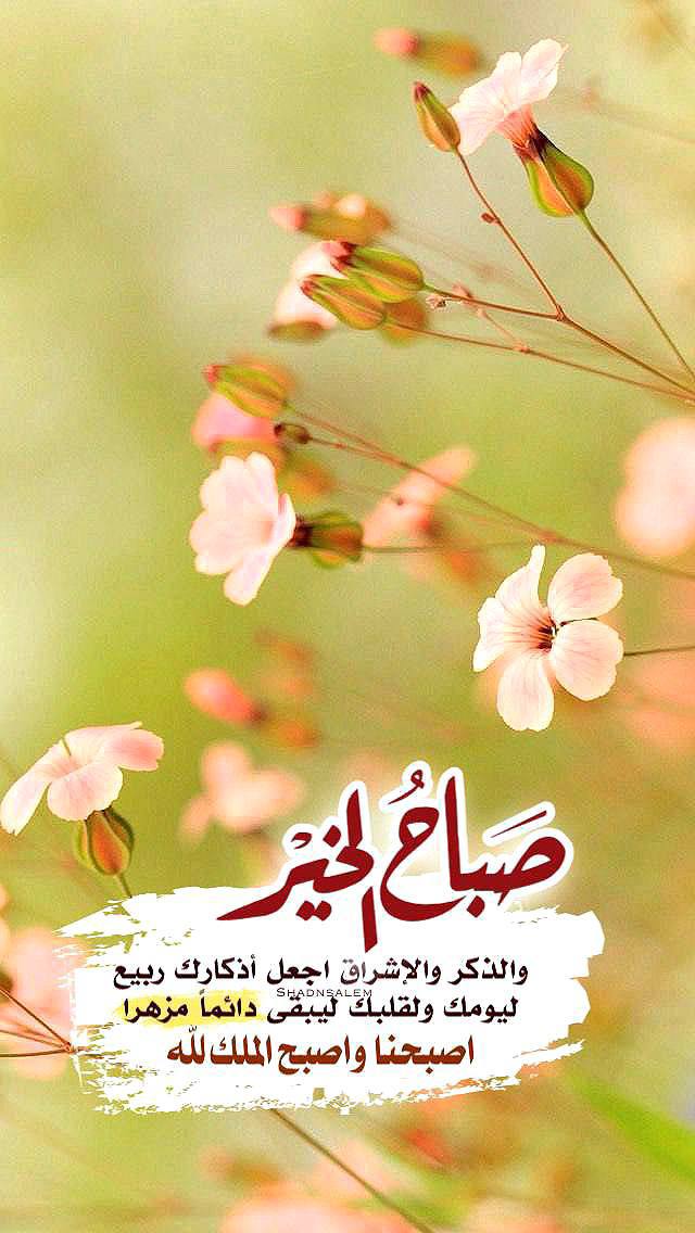 فُـرأّنِشُـسِـکْوٌ القُدٍأّفُـيِّ 🇱🇾 tweet media