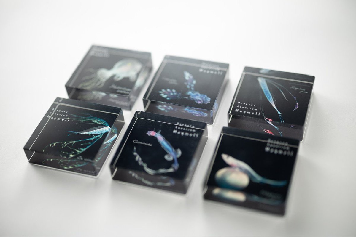 yogyo_aquarium's tweet photo. 数量限定！！❤️‍🔥

【マグメル深海水族館】コラボグッズを2,000円以上ご購入の方に、、

コラボステッカープレゼント🐟✨

◎アクスタhttps://t.co/eU2HZTVpjb

◎缶バッジhttps://t.co/DtQUw4A0xU

◎アクリルブロックhttps://t.co/JUpSnU26qt https://t.co/dSeDhHsu6c