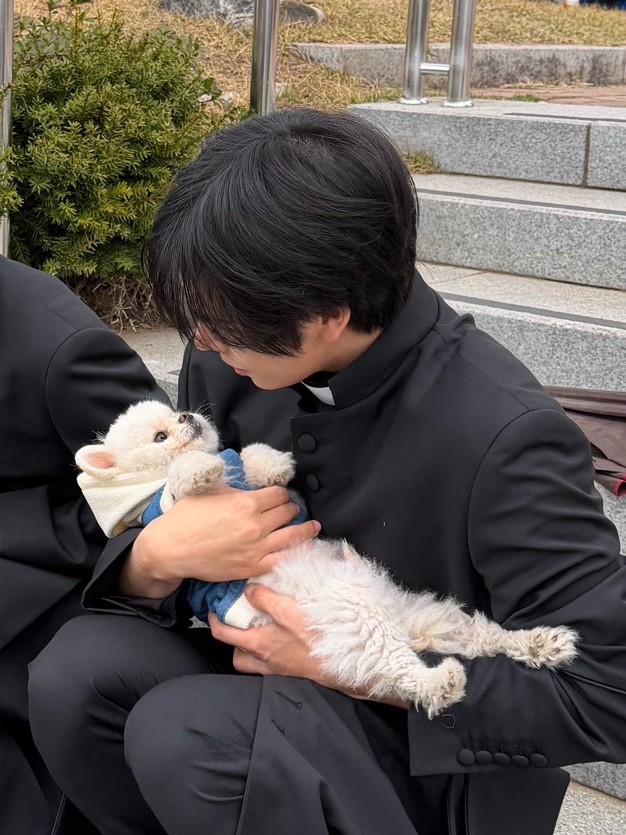 포림 tweet media